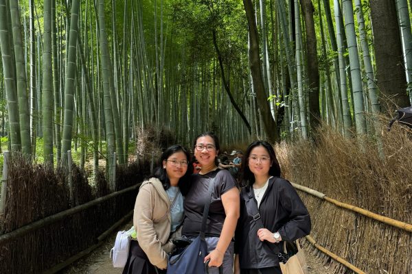 WhatsApp Image 2024-11-10 at 10.35.32_c266f1d7